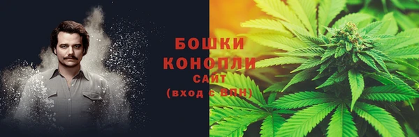 тгк Кодинск