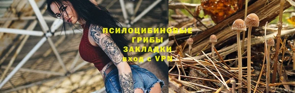 тгк Кодинск
